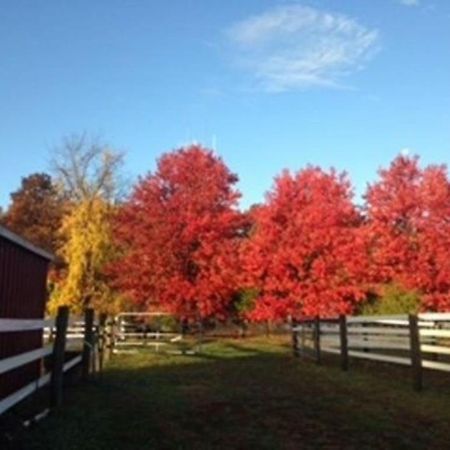 Flint Hill Farm Ag Villa Center Valley Exterior photo