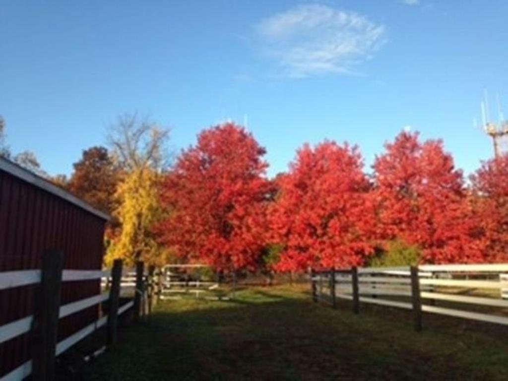 Flint Hill Farm Ag Villa Center Valley Exterior photo