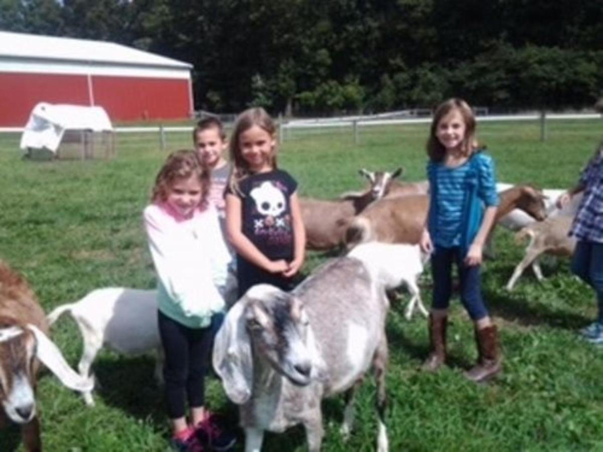 Flint Hill Farm Ag Villa Center Valley Exterior photo